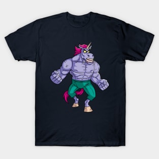 Unicorn Rage 2 T-Shirt